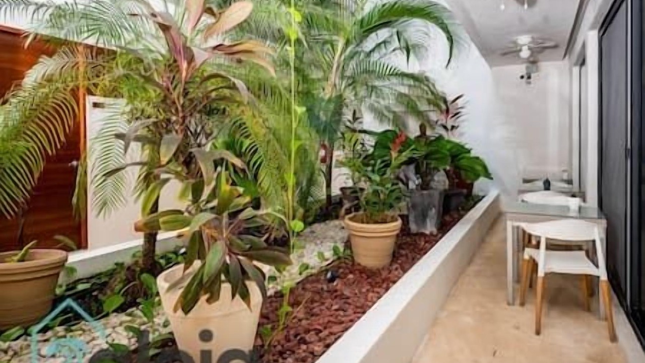 Photo of Outdoor in Tulum City Center