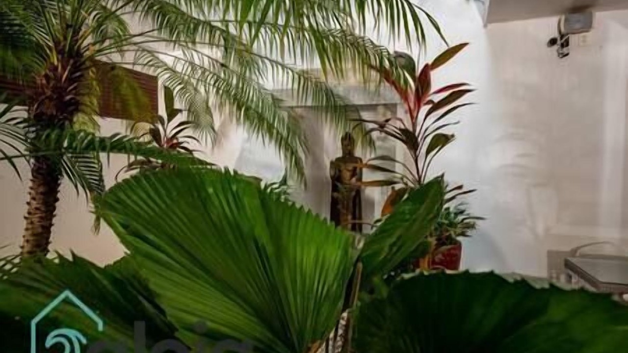 Photo of Outdoor in Tulum City Center