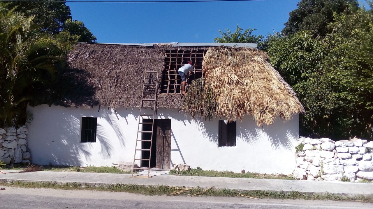 Photo of Outdoor in Chicxulub Pueblo