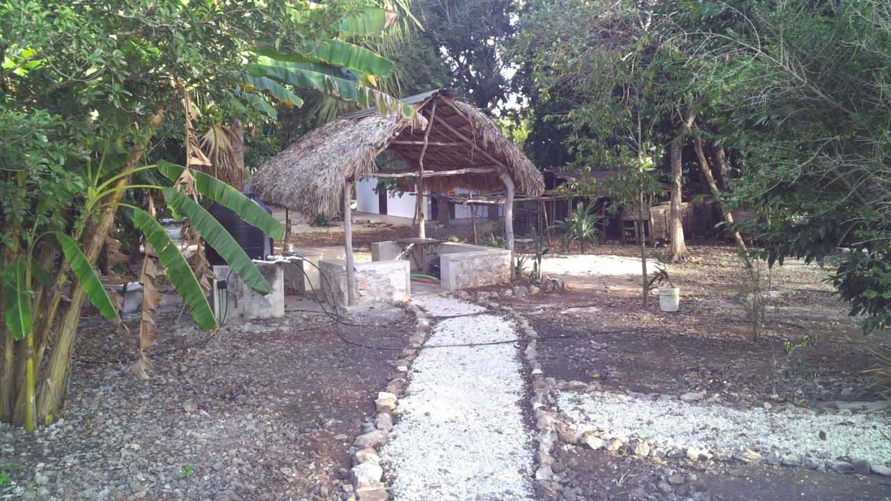 Photo of Bedroom in Chicxulub Pueblo