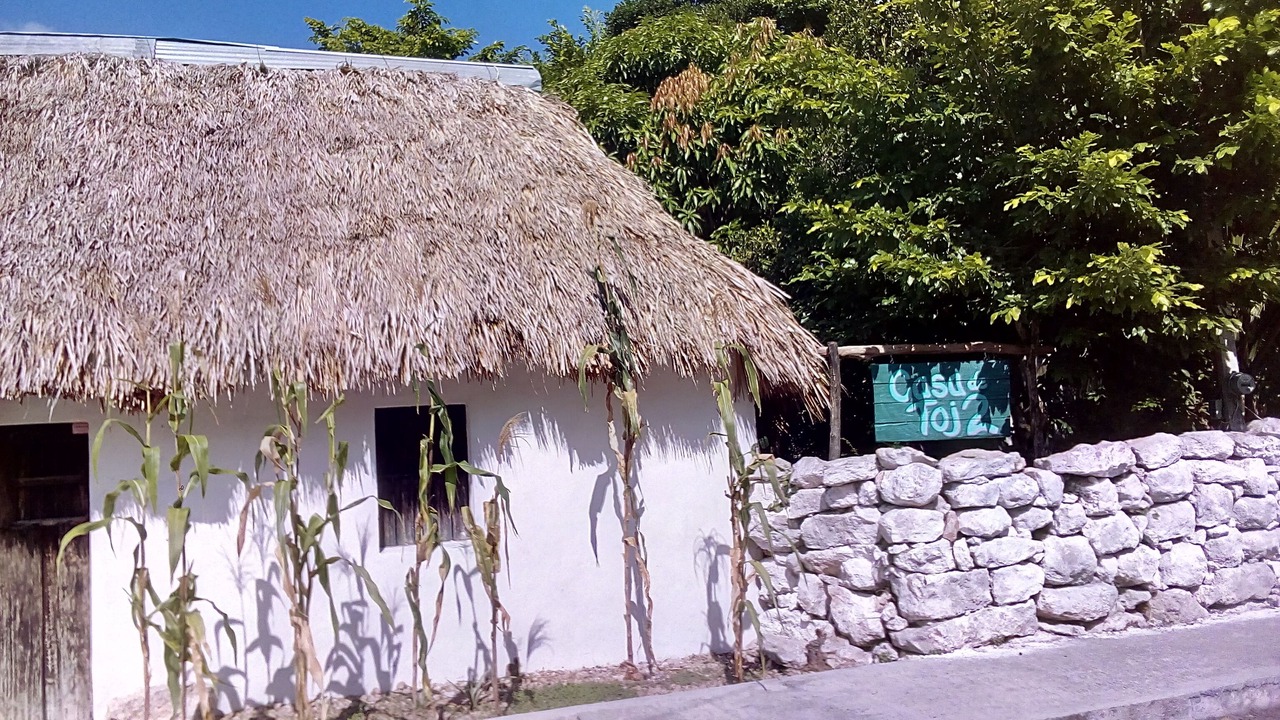 Photo of Outdoor in Chicxulub Pueblo