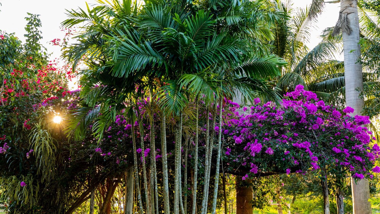 Photo of Outdoor in Izamal