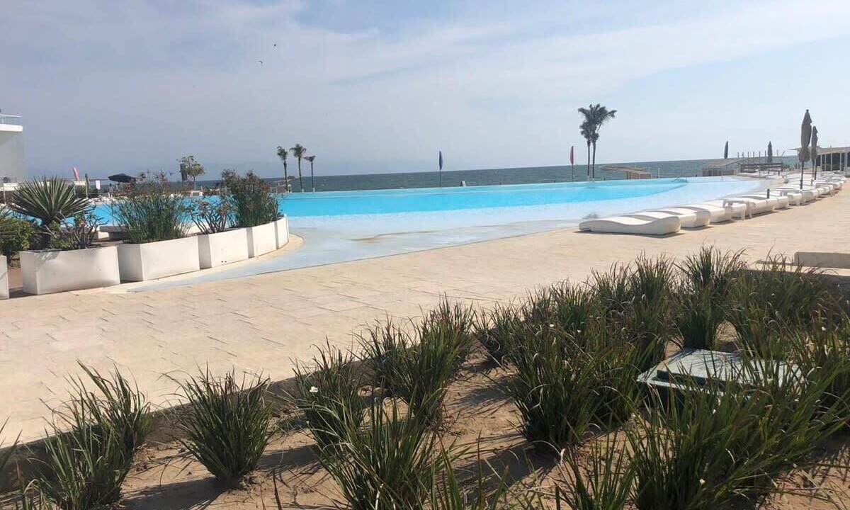 Photo of Outdoor in Flamingos