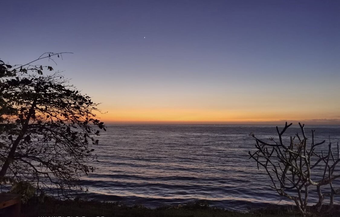 Photo of Others in Santa Cruz