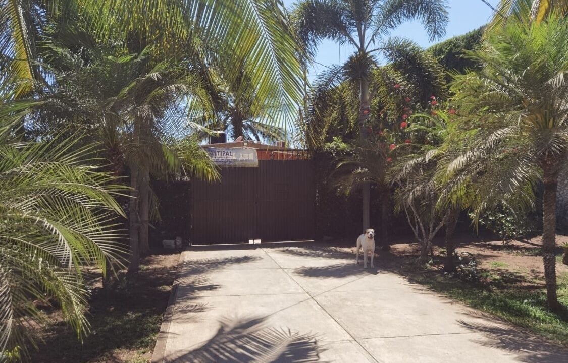 Photo of Outdoor in Santa Cruz