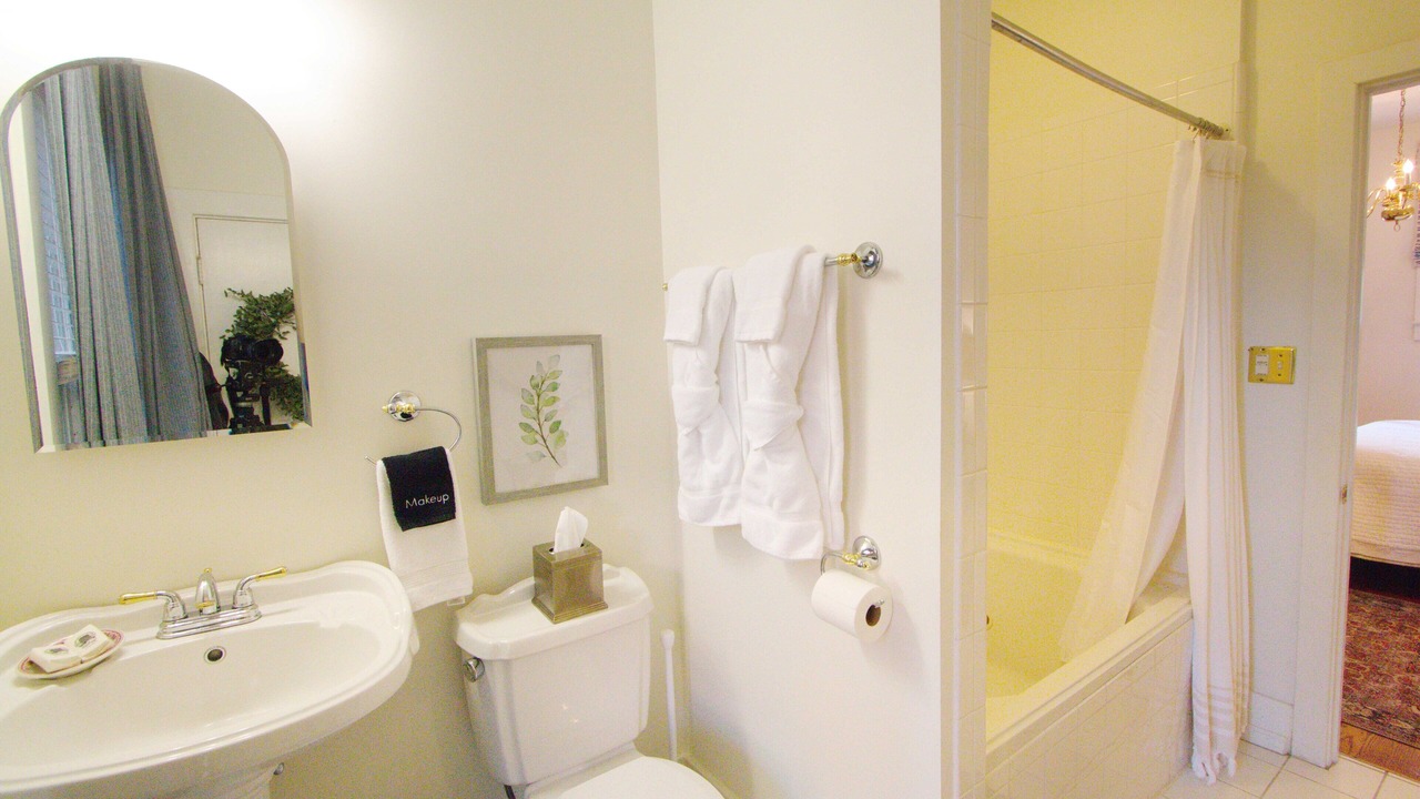 Photo of Bathroom in Old Louisville