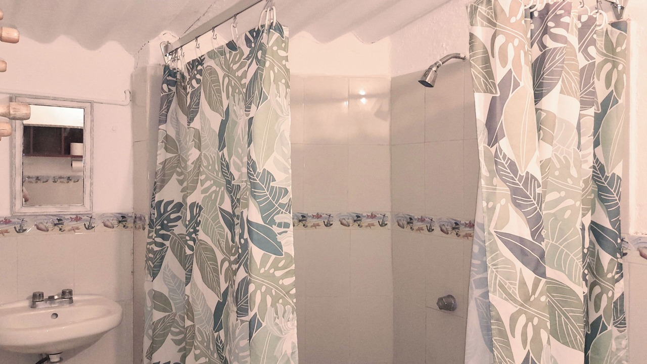 Photo of Bathroom in La Cruz de Huanacaxtle