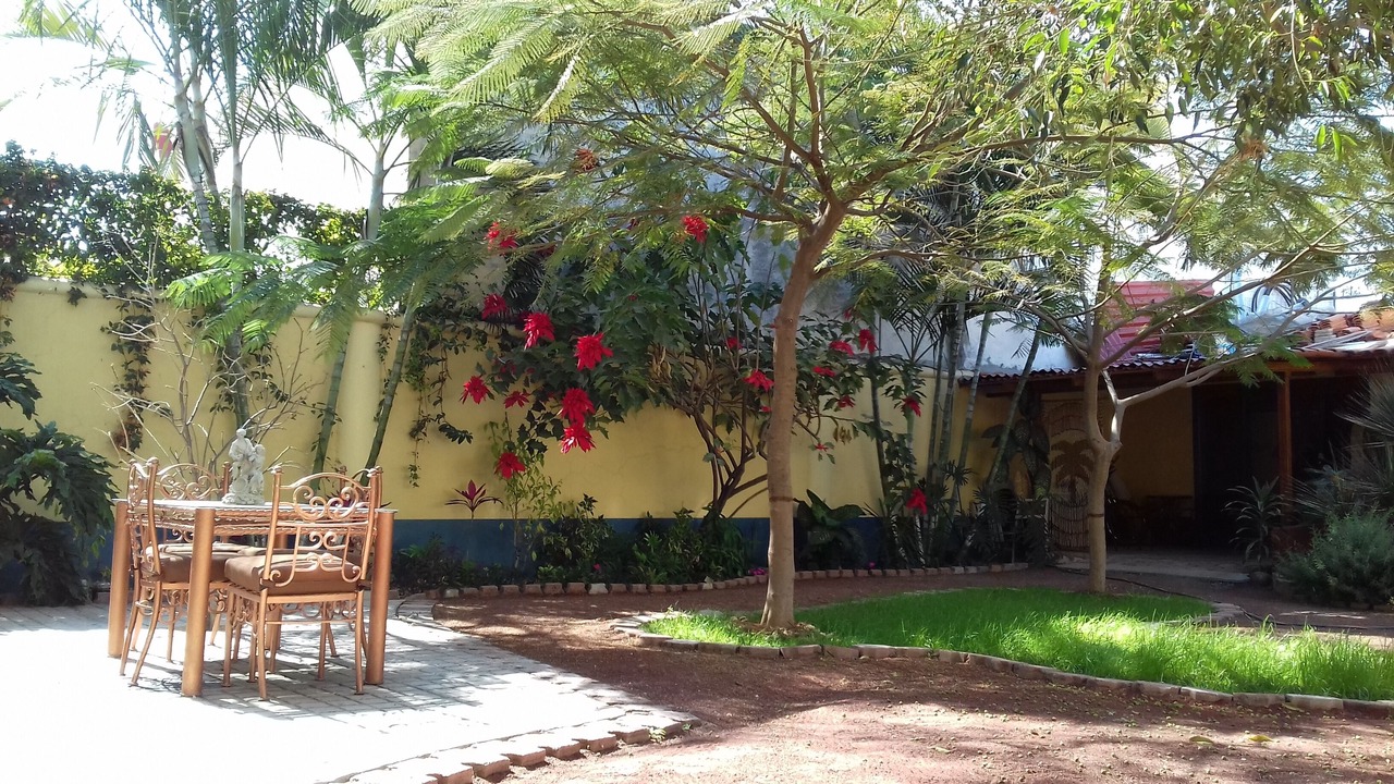 Photo of Outdoor in Chapala Centro