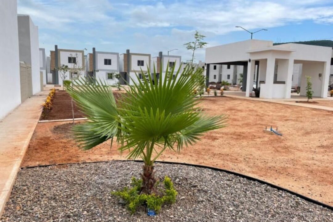 Photo of Outdoor in Culiacan