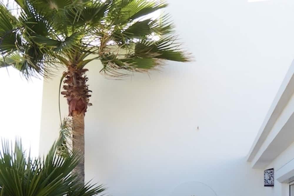 Photo of Outdoor in Bahia Kino