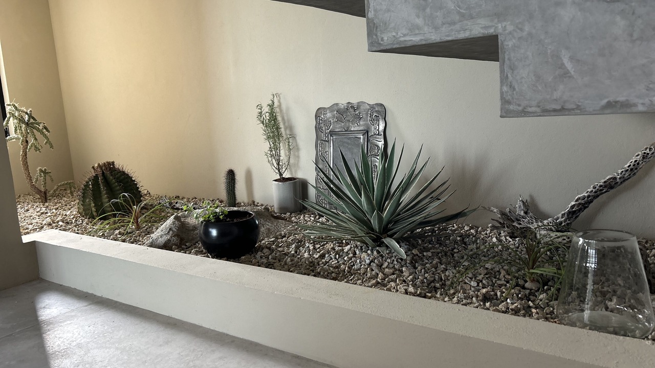 Photo of Outdoor in San Jose del Cabo