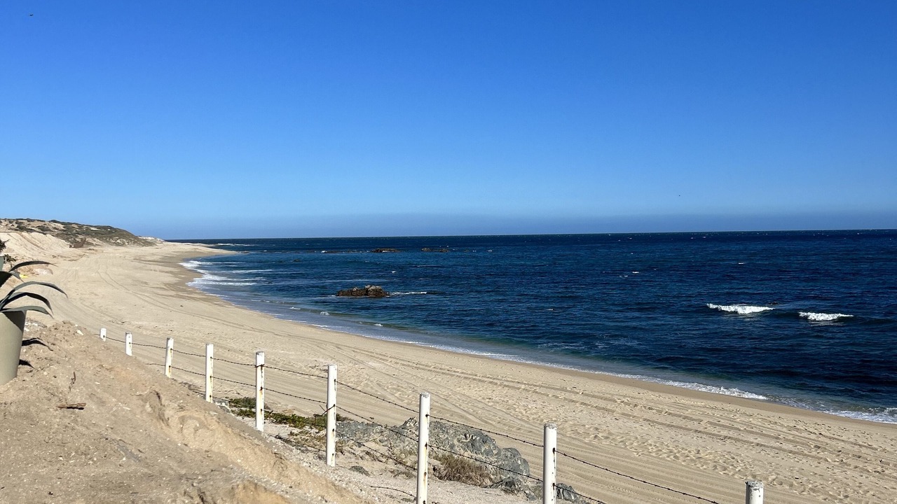 Photo of Others in San Jose del Cabo