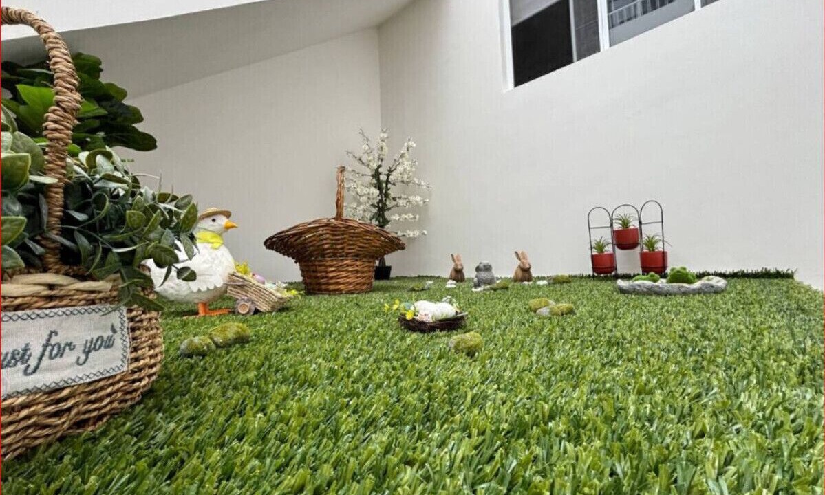 Photo of Outdoor in Xalapa