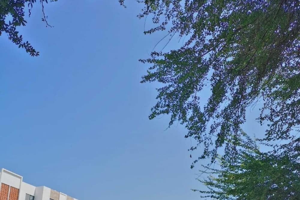 Photo of Outdoor in Ixtapa