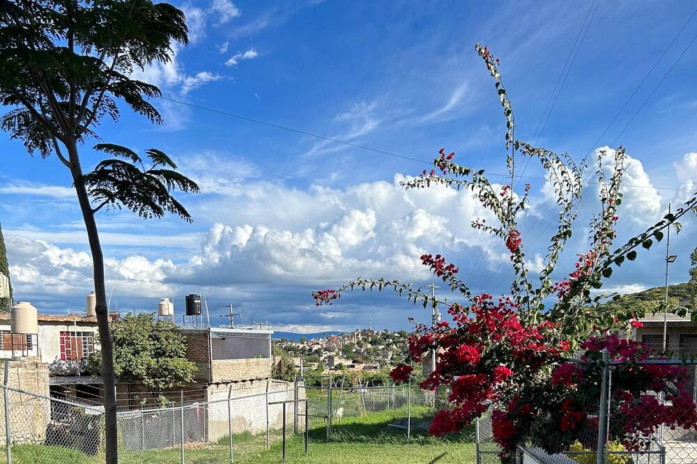 Photo of Outdoor in Chapala Centro