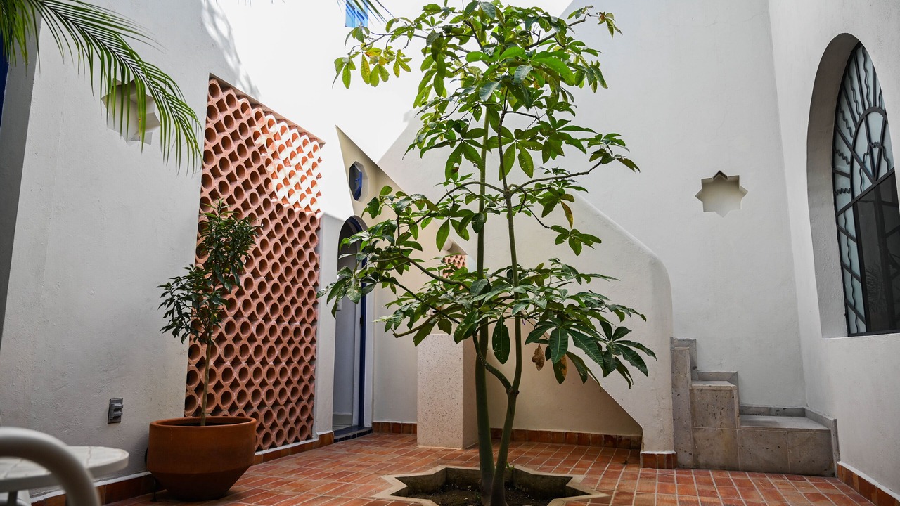 Photo of Outdoor in Zona Minerva
