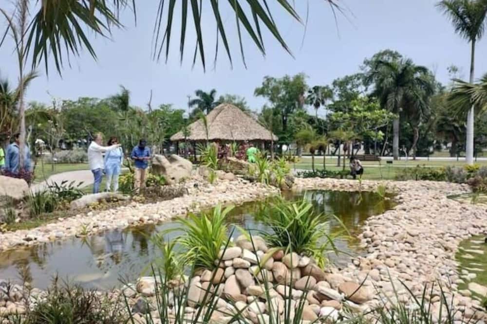 Photo of Outdoor in Tampico