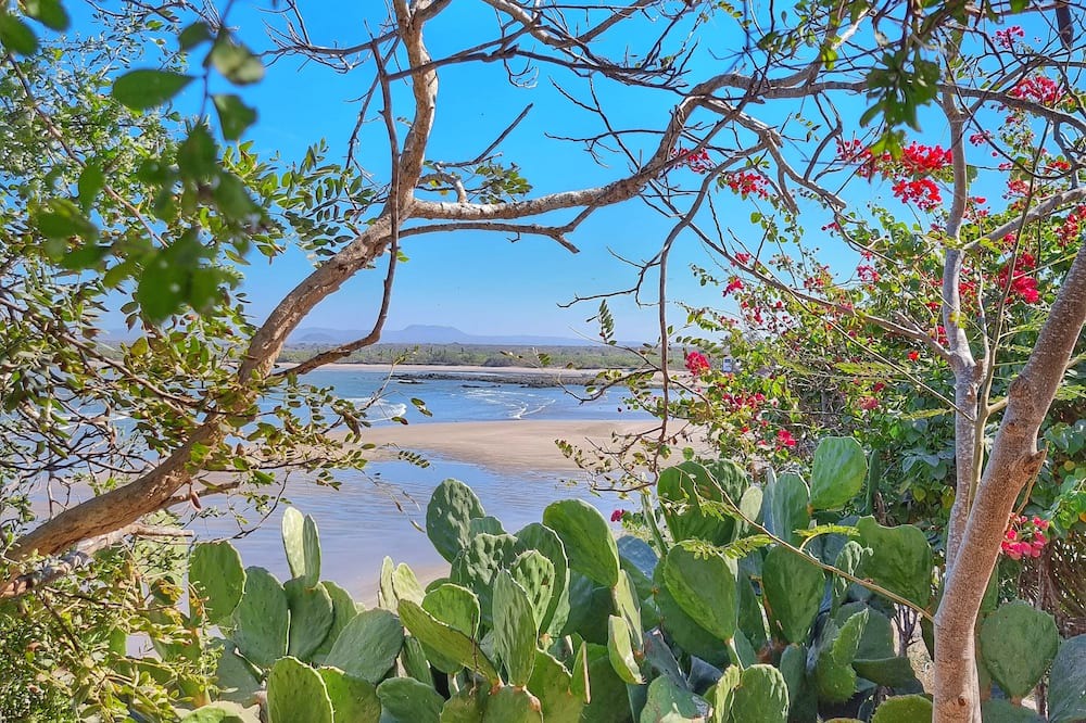 Photo of Outdoor in Punta Prieta