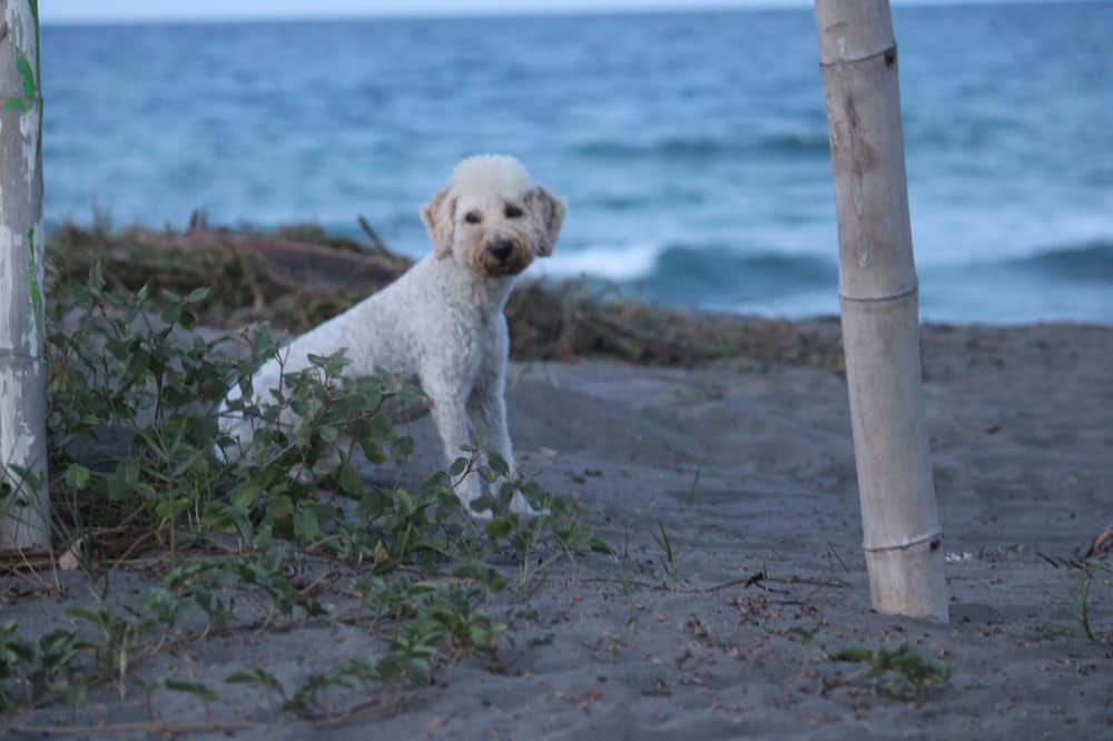 Photo of Outdoor in Tecolutla