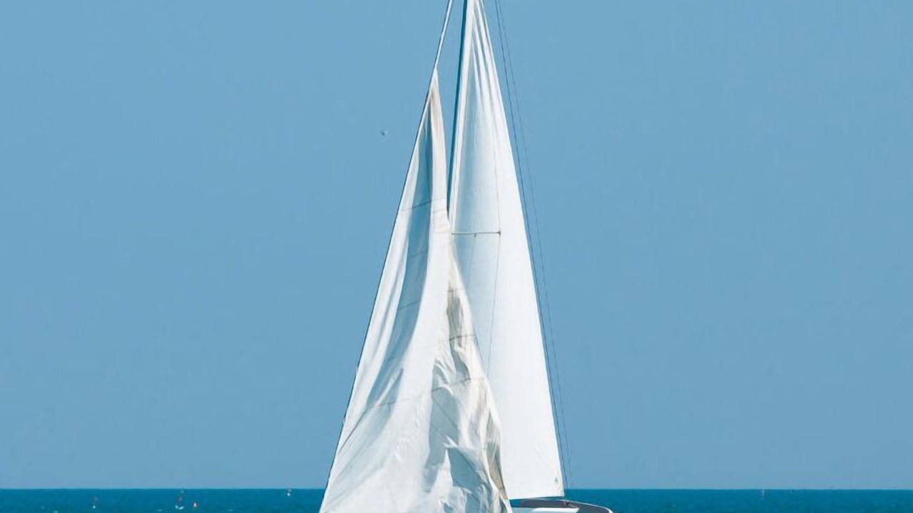 Photo of Others in Palmar de Aramara