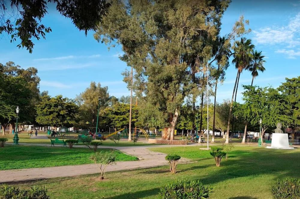 Photo of Others in Ciudad Obregon
