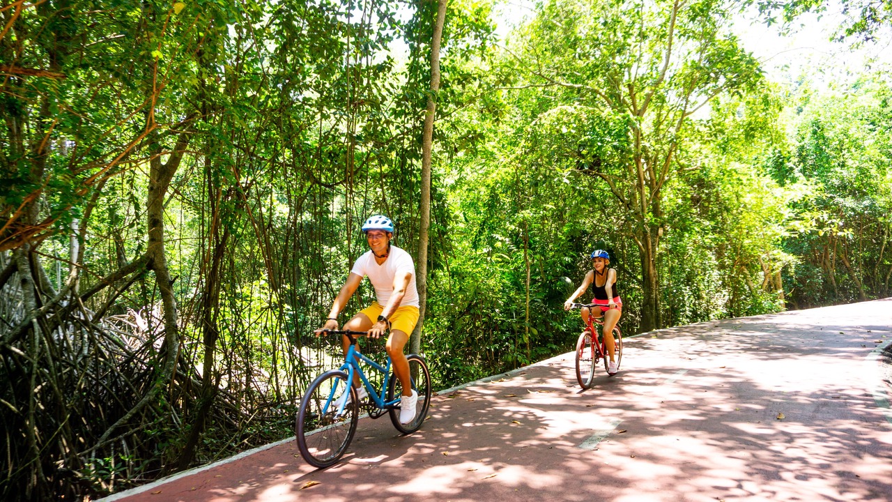 Photo of Outdoor in Ixtapa
