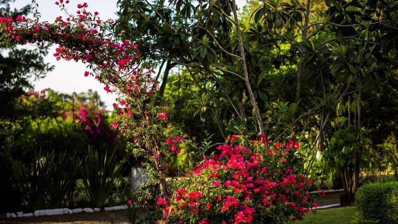 Photo of Outdoor in Patzcuaro