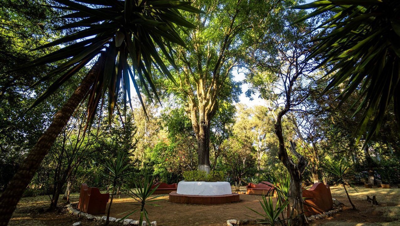 Photo of Outdoor in Patzcuaro