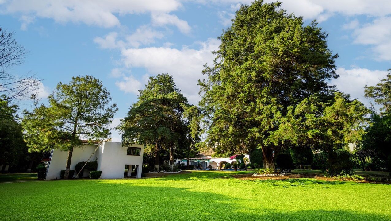 Photo of Outdoor in Patzcuaro