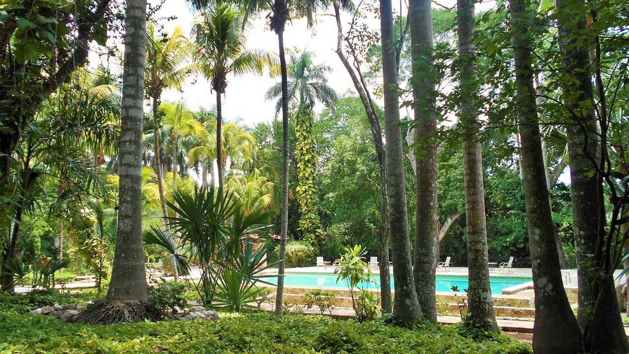 Photo of Outdoor in Chichen Itza