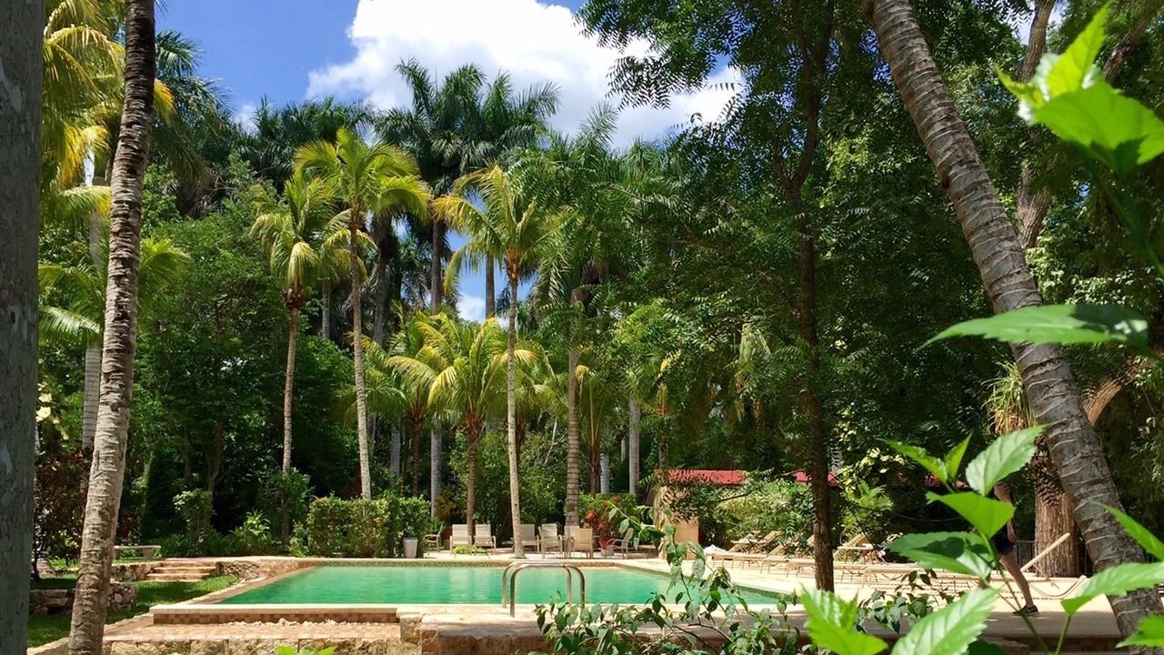 Photo of Outdoor in Chichen Itza