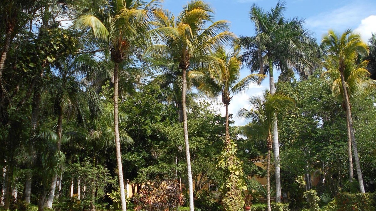 Photo of Outdoor in Chichen Itza
