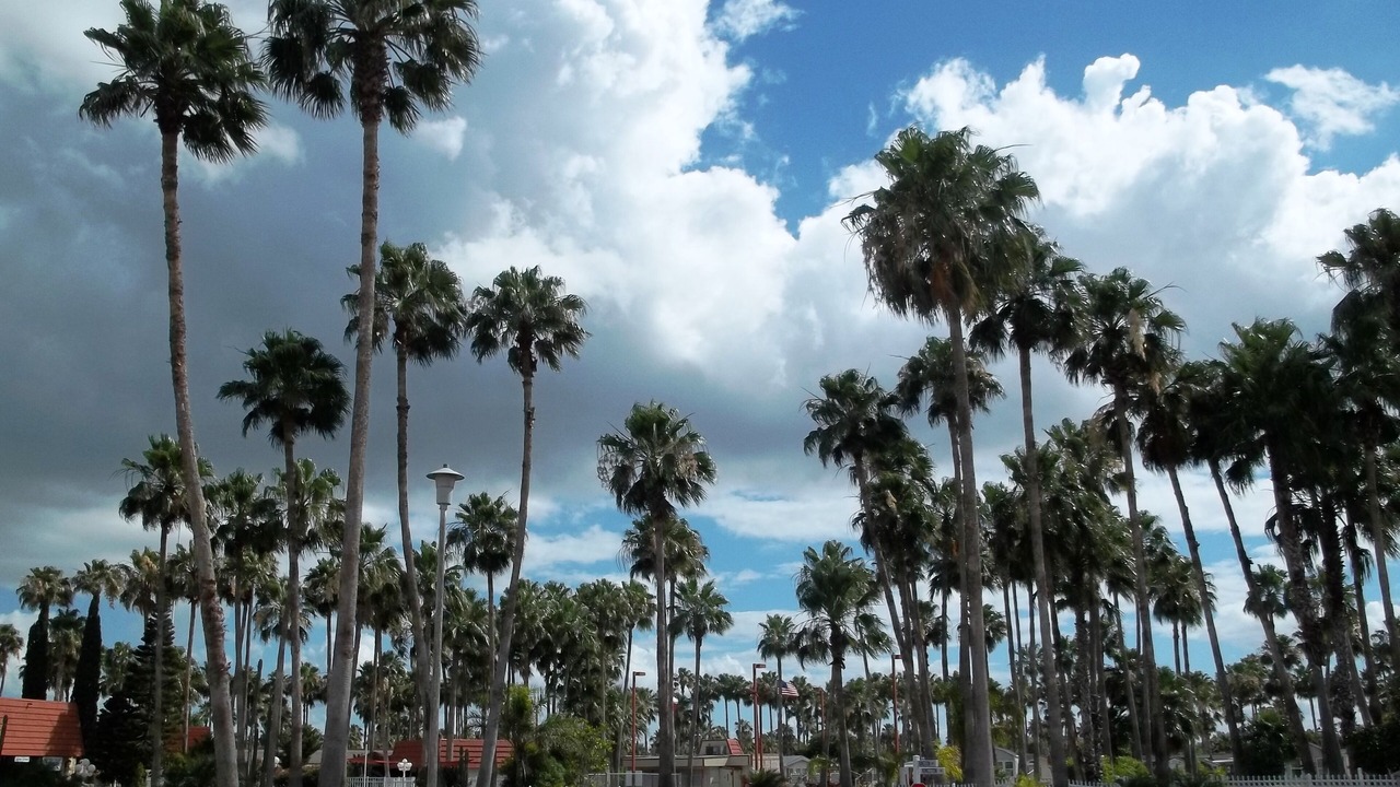 Photo of Outdoor in Donna