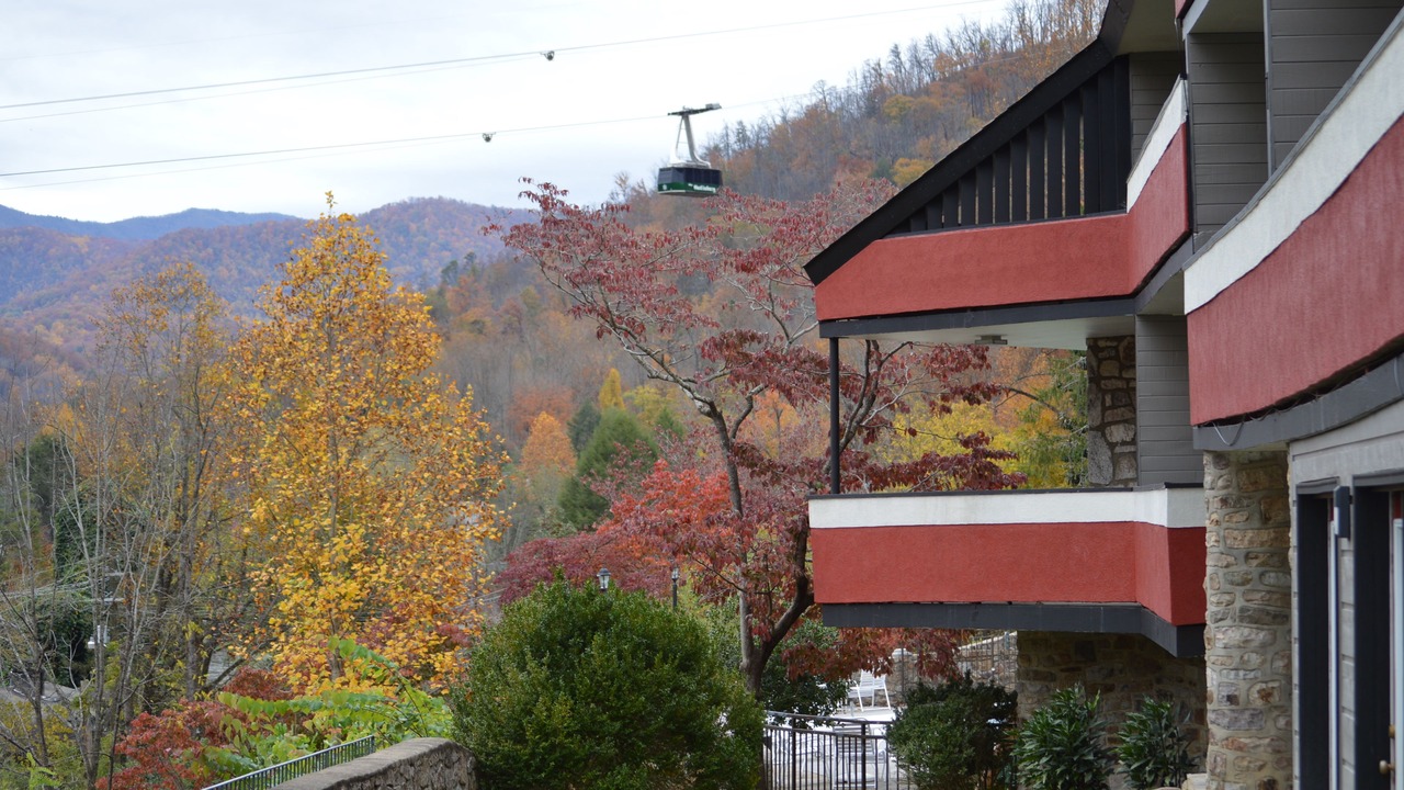 Photo of Outdoor in Gatlinburg