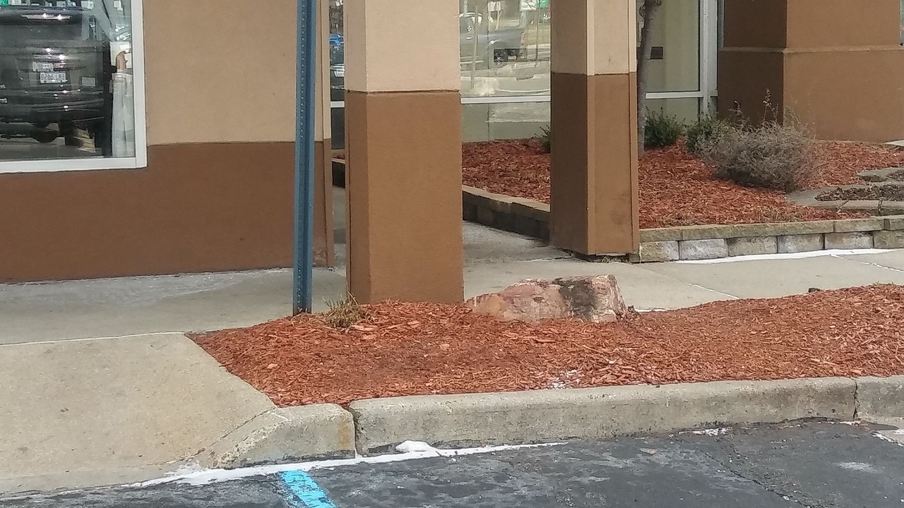 Photo of Others in Madison Heights