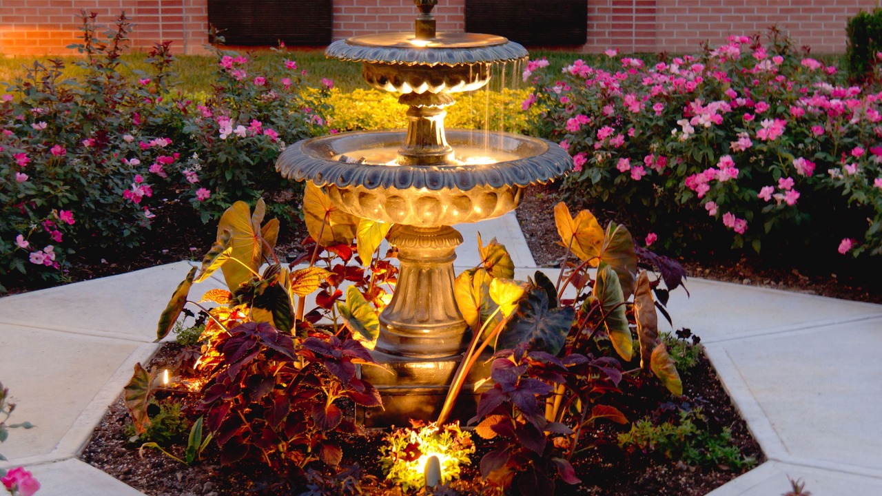 Photo of Outdoor in Ann Arbor