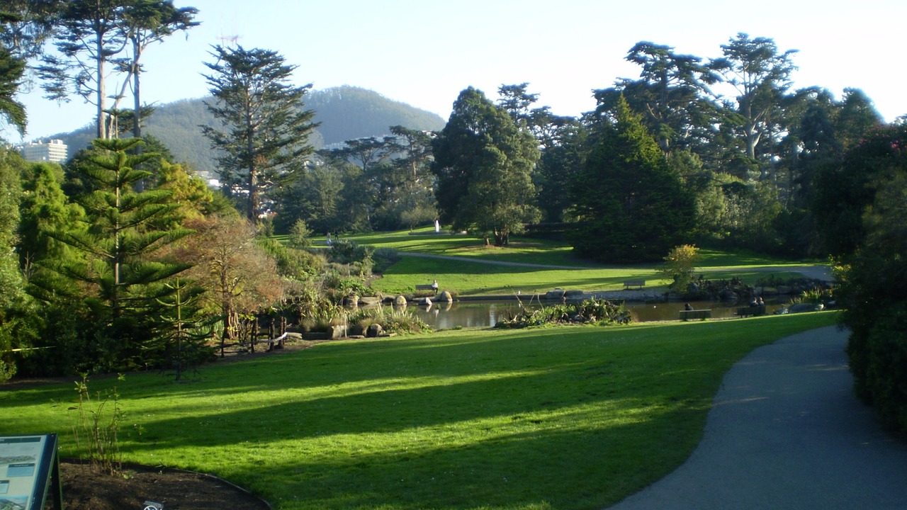 Photo of Others in Cole Valley