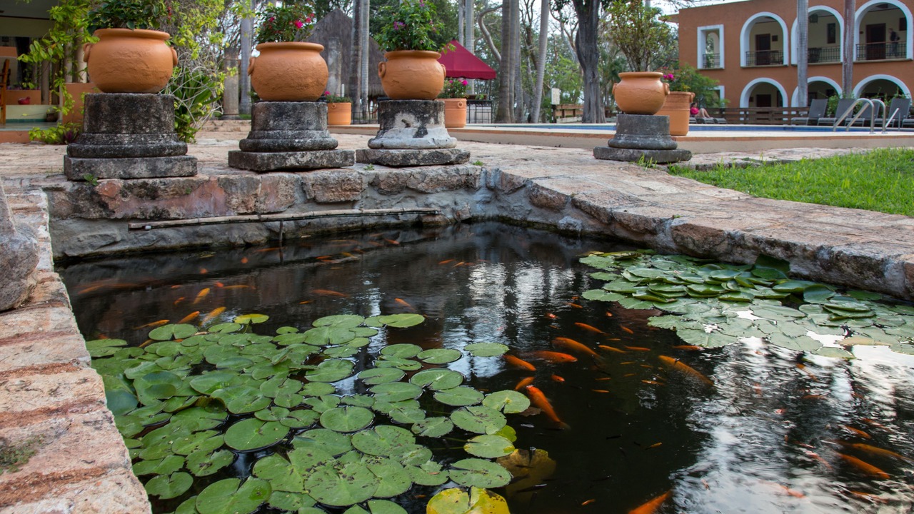 Photo of Outdoor in Uxmal