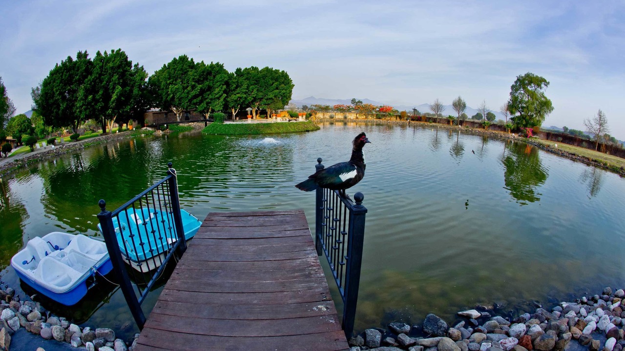 Photo of Outdoor in El Carmen
