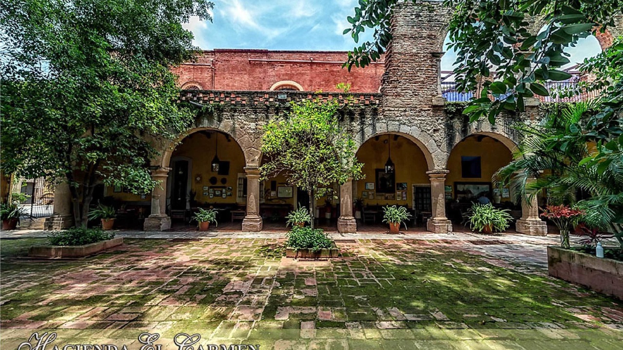Photo of Outdoor in El Carmen