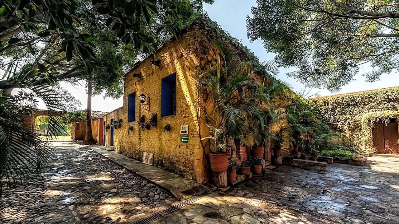 Photo of Outdoor in El Carmen