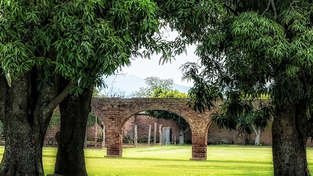 Photo of Outdoor in El Carmen