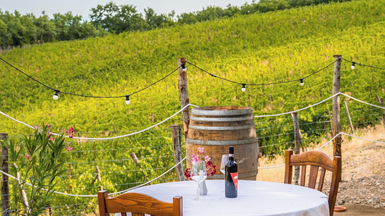 Photo of Outdoor in Castellina in Chianti