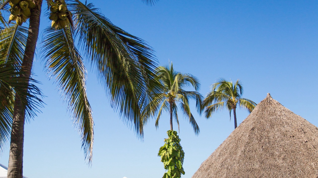 Photo of Others in Marina Vallarta