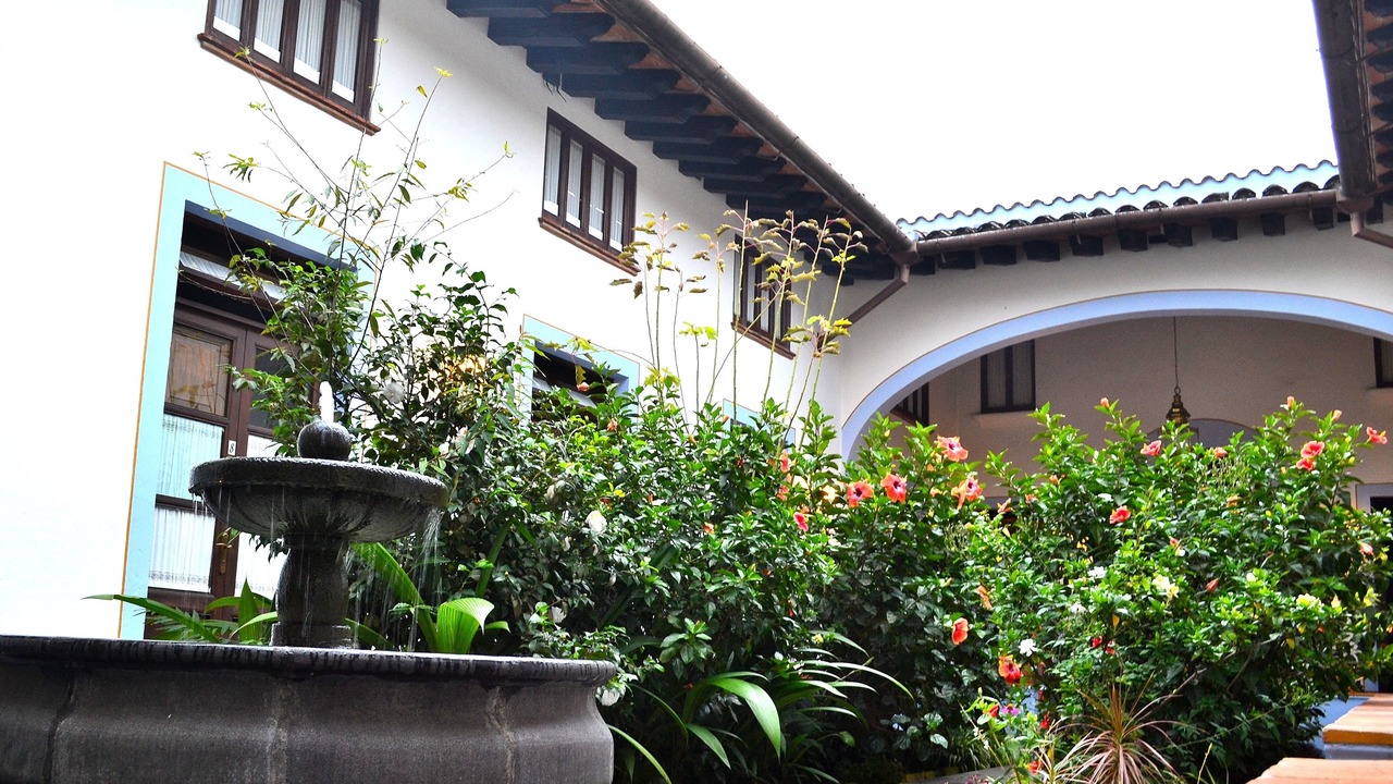 Photo of Outdoor in Coatepec