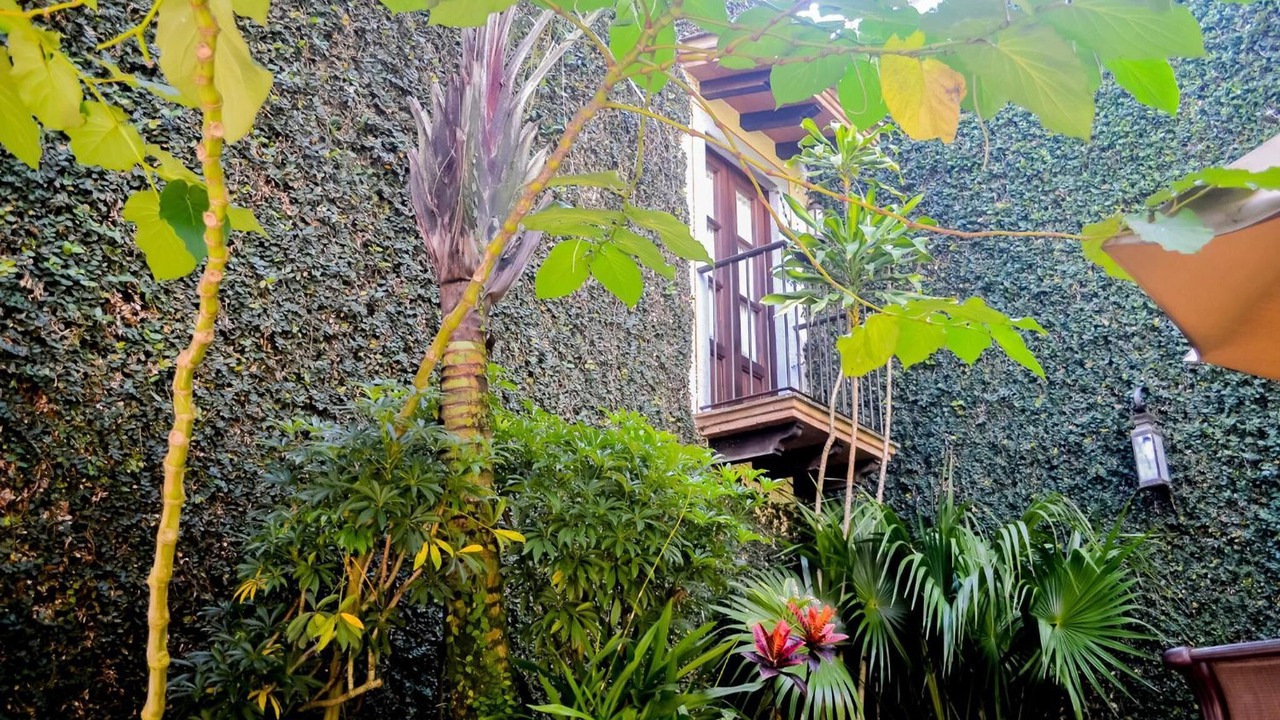 Photo of Outdoor in Coatepec