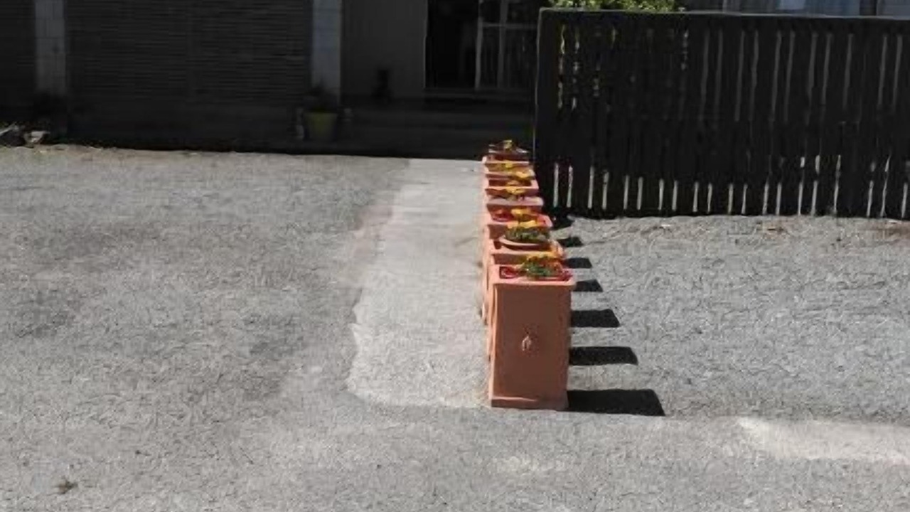 Photo of Outdoor in Fairlie