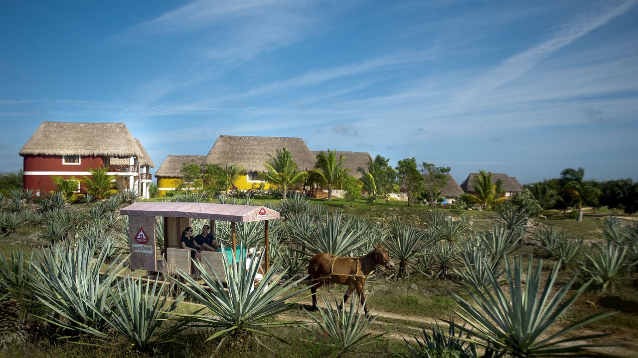 Photo of Others in Timucuy