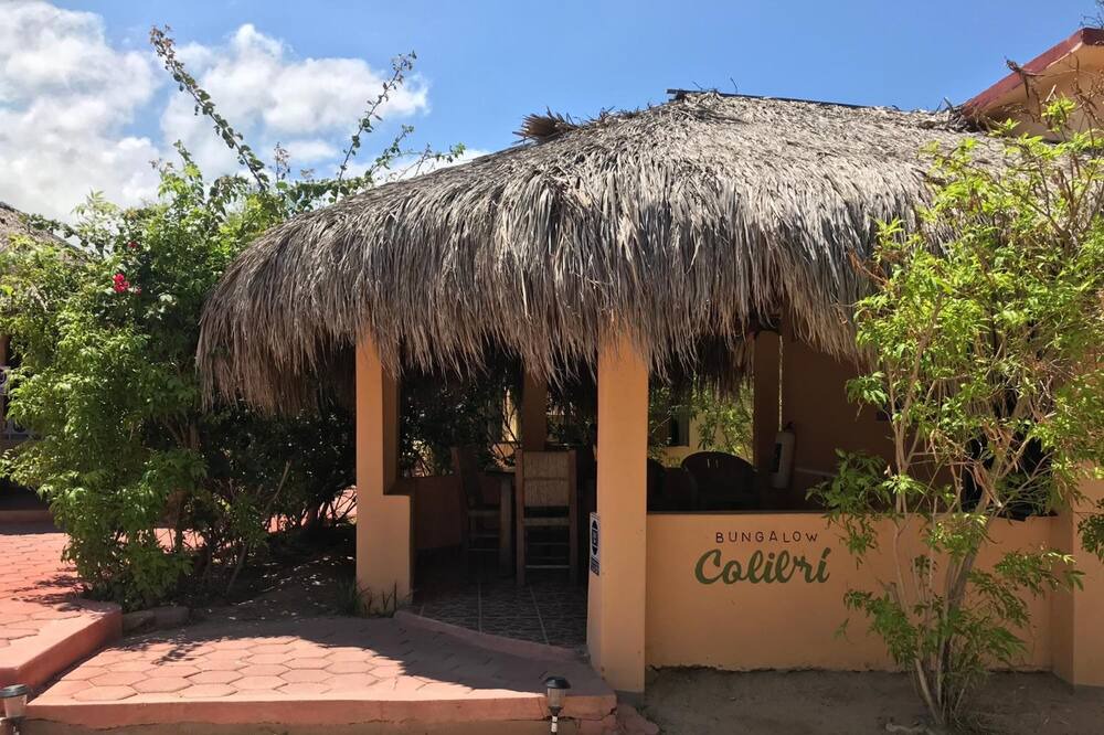 Photo of Outdoor in Cabo Pulmo