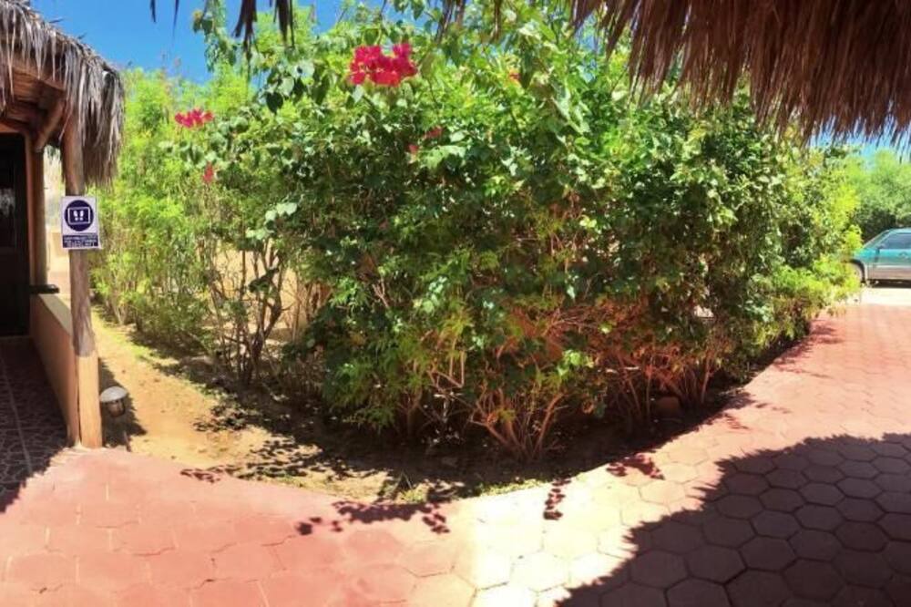 Photo of Outdoor in Cabo Pulmo